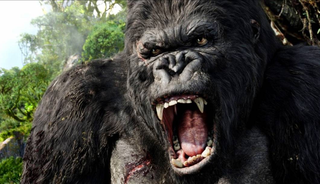 les-singes-au-cinema-de-king-kong-a-la-planete-des-singes