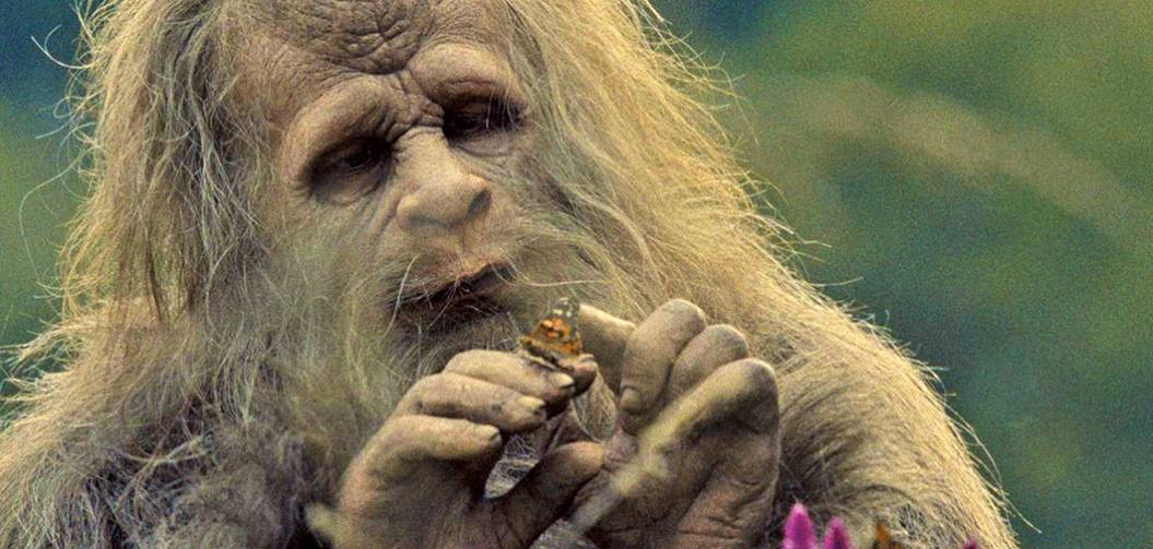 Primitifs : la vie secrète des Bigfoots ! Entretien avec David & Nathan Zellner