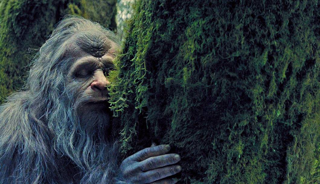 primitifs-la-vie-secrete-des-bigfoots-entretien-avec-david-nathan-zellner